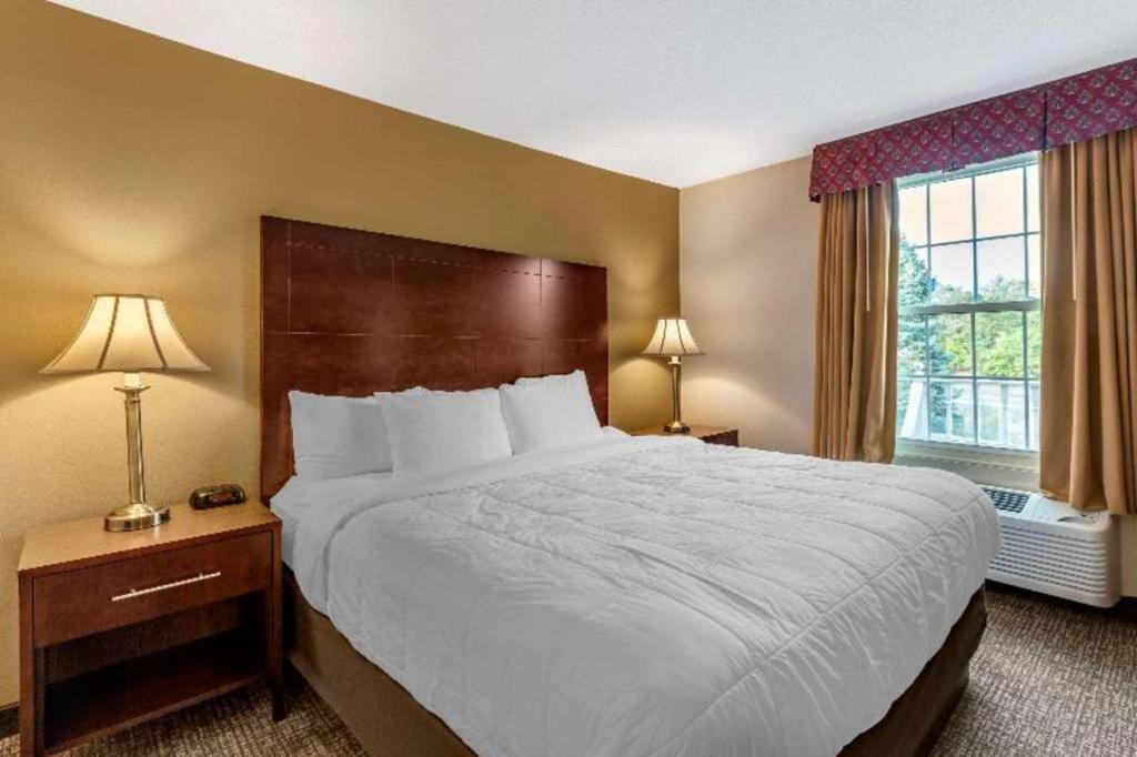 Comfort Inn Foxboro - Mansfield Foxborough Exteriér fotografie