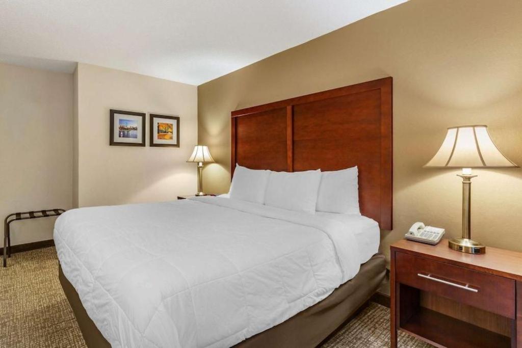 Comfort Inn Foxboro - Mansfield Foxborough Exteriér fotografie