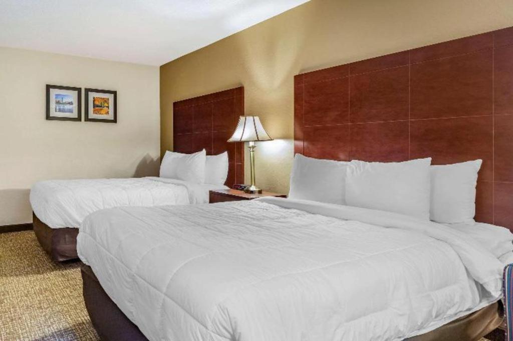 Comfort Inn Foxboro - Mansfield Foxborough Exteriér fotografie