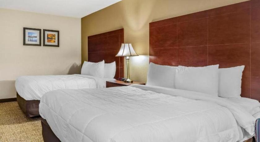 Comfort Inn Foxboro - Mansfield Foxborough Exteriér fotografie