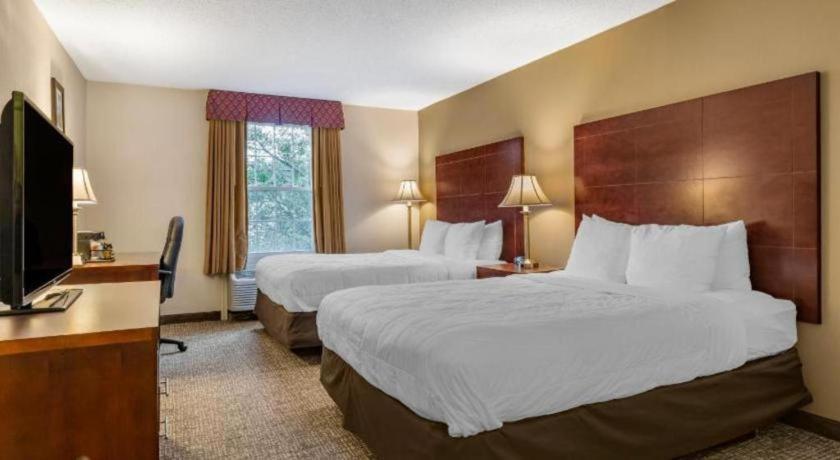 Comfort Inn Foxboro - Mansfield Foxborough Exteriér fotografie